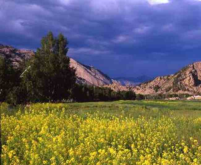 新疆阿勒泰大小东沟景区,图二