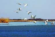 新疆阿勒泰乌伦湖