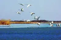 新疆阿勒泰乌伦湖