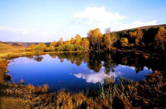 新疆阿勒泰小东沟森林公园,图三
