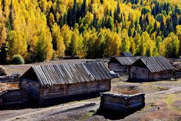 新疆阿勒泰图瓦人部落,图三