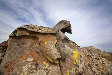 新疆阿勒泰哈巴河哈龙沟奇石景区,图四
