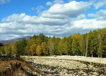 新疆阿勒泰克兰河风景河段,图二