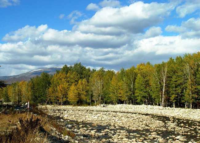 新疆阿勒泰克兰河风景河段,图二