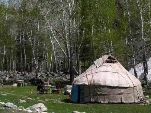 新疆阿勒泰小东沟森林公园