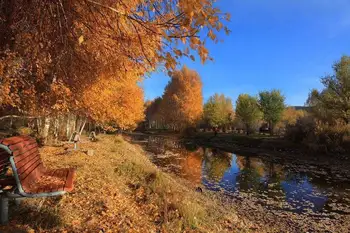 新疆阿勒泰青河县白桦公园,图三