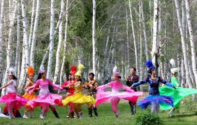 哈巴河白桦林景区,图二