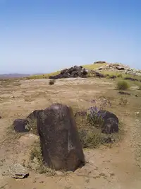 新疆阿勒泰陨石群