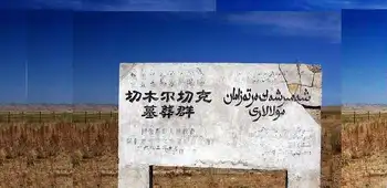 新疆阿勒泰切木尔切克古墓群,图一