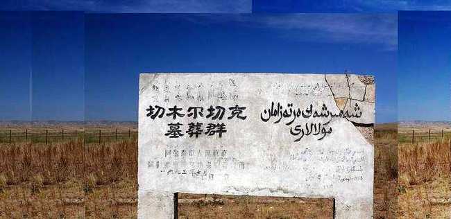 新疆阿勒泰切木尔切克古墓群,图一