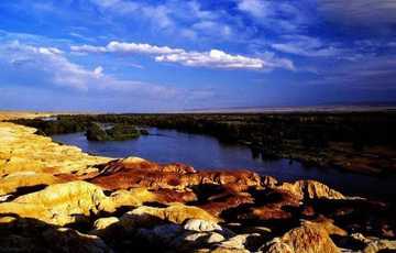 新疆阿勒泰青河县白桦公园,图一