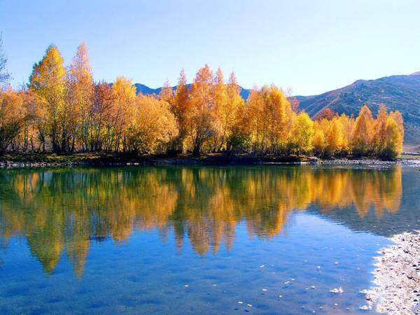 新疆阿勒泰克兰河风景河段,图一