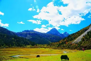 新疆阿勒泰卧龙湾,图一