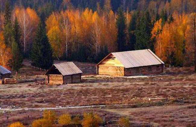新疆阿勒泰禾木村,图三