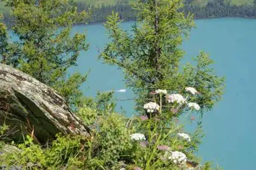 新疆阿勒泰观鱼亭