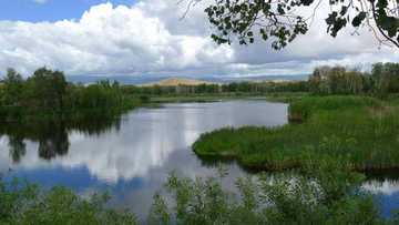 新疆阿勒泰哈巴河白沙湖景区,图七