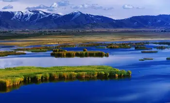 新疆阿勒泰可可托海,图一