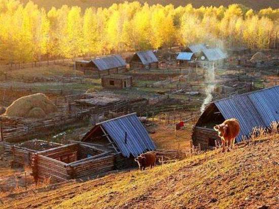 新疆阿勒泰图瓦村落,图三