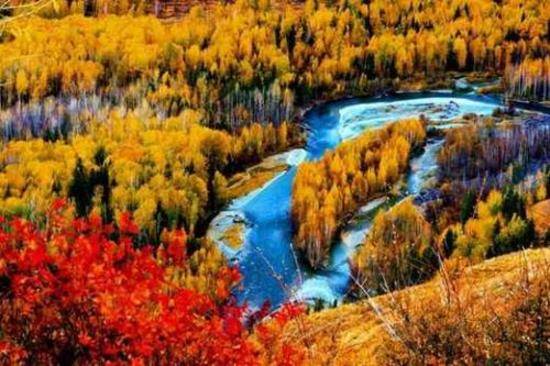 新疆阿勒泰白哈巴国家森林公园
