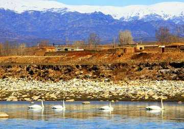 新疆阿勒泰克兰河风景河段,图三