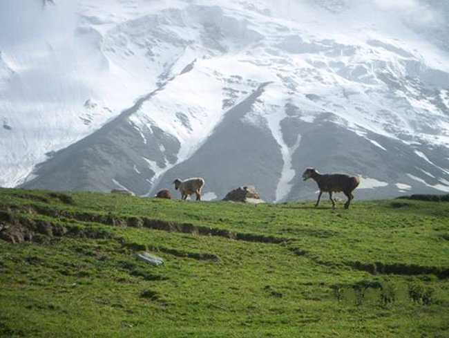 新疆阿图什奥依塔克森林公园风景区,图三