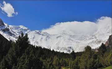 新疆阿图什奥依塔克森林公园风景区,图一