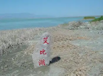 新疆博乐艾比湖湿地自然保护区,图一