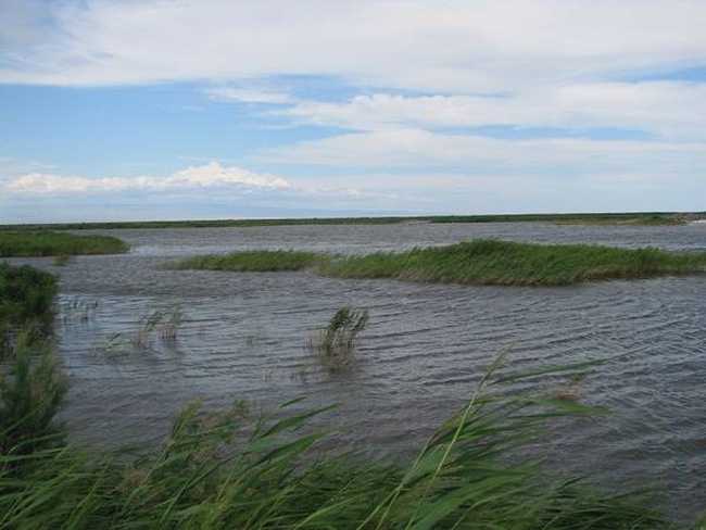 新疆博樂艾比湖濕地自然保護(hù)區(qū),圖二