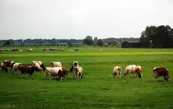 新疆博乐精河敖包,图三