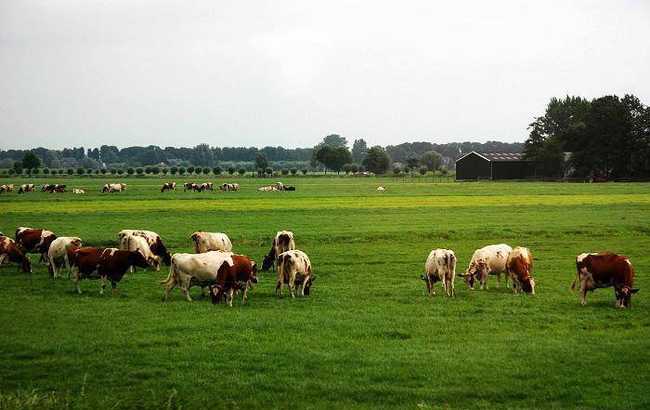 新疆博乐精河敖包,图三