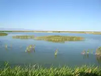 新疆博乐艾比湖湿地自然保护区