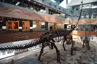 新疆昌吉化石沟