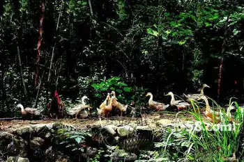 新疆阜康市恒泰齐鲁山庄,图二