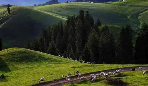 新疆奇台江布拉克景点介绍