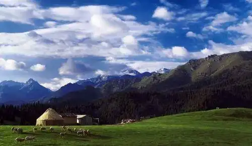 新疆奇台江布拉克景点介绍