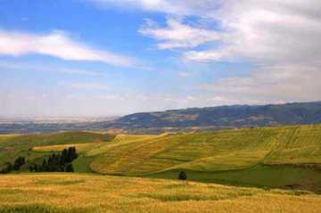 新疆奇台江布拉克景点介绍,图六