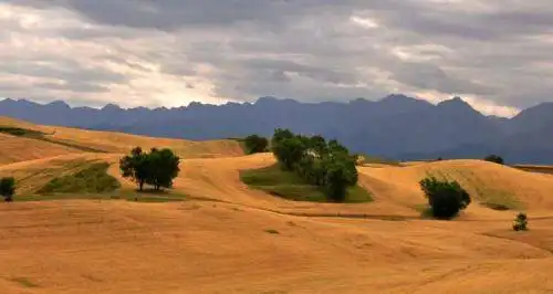 新疆奇台江布拉克景点介绍