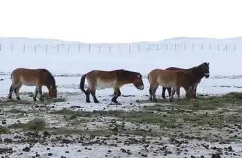 新疆昌吉喀拉麦里山,图三