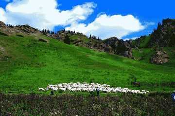 新疆昌吉南天山山麓,图二