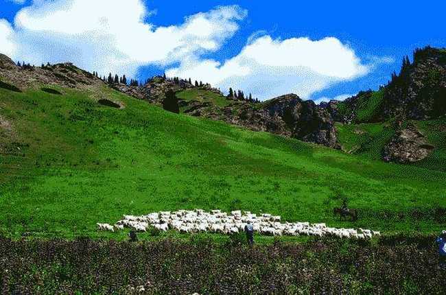 新疆昌吉南天山山麓,图二