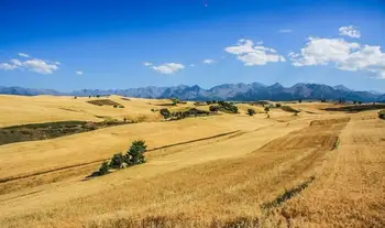 新疆昌吉奇台荒漠草原保护区,图二