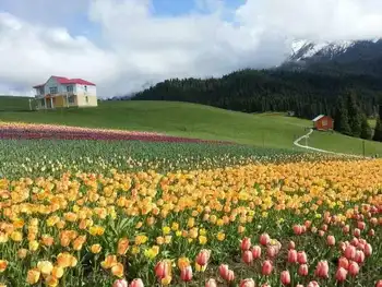 新疆昌吉一万泉旅游度假村,图二