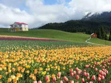 新疆昌吉一万泉旅游度假村,图二