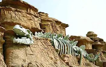 新疆昌吉化石沟,图二