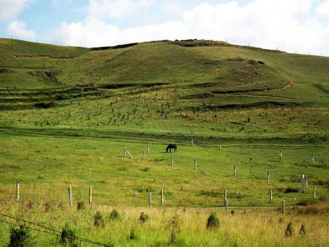 新疆昌吉黑马科技园,图二