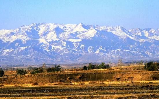新疆昌吉奇台荒漠草原保护区,图一