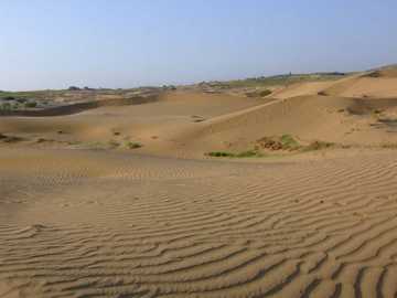 新疆昌吉奇台荒漠草原保护区,图三