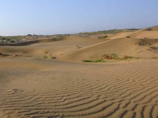 新疆昌吉奇台荒漠草原保护区,图三