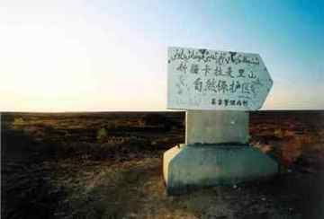 新疆卡拉麦里自然保护区,图一