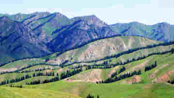 新疆昌吉南天山山麓,图三